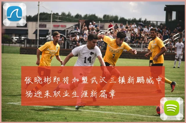 张晓彬即将加盟武汉三镇新鹏城中场迎来职业生涯新篇章